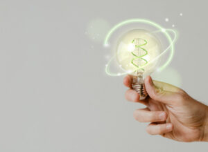 Como o autoatendimento da VMtecnologia possibilita a inovação