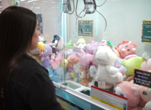 Como dobrar o lucro: 10 dicas essenciais para máquina de pelúcias